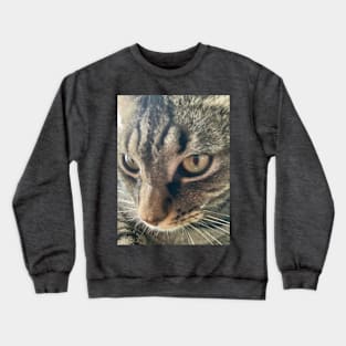 Handsome Boi Crewneck Sweatshirt